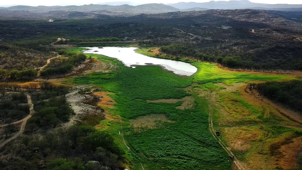 Drone FIMI MINI 3 - Foto 5