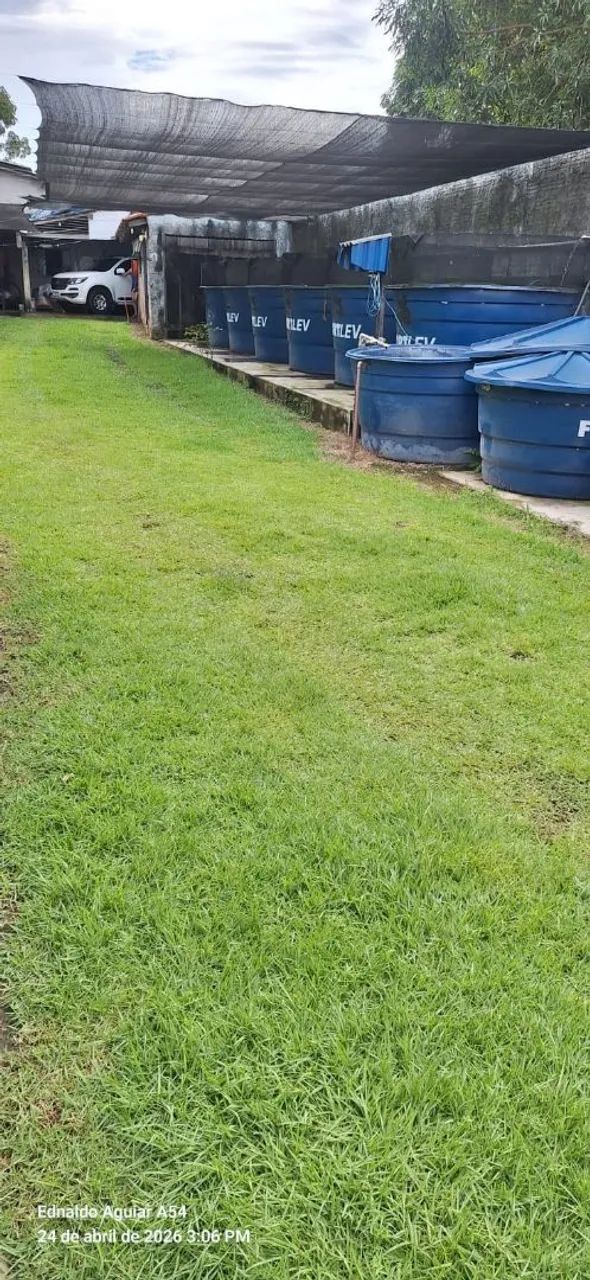 Vendo tudo Cedere 1 perto de Parauapebas. - Foto 4