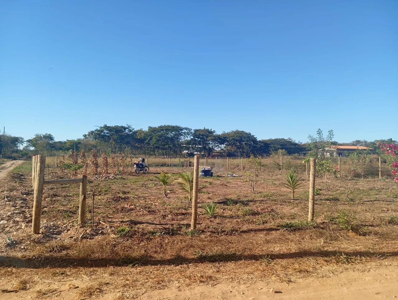 Granja - Foto 3
