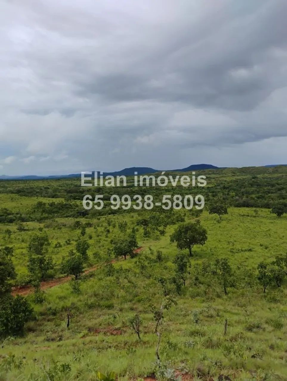 Oportunidade! Chácara de 52,6 Hectares à Venda