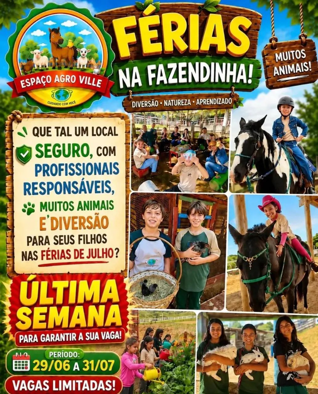 Modalidades para diversão e aprendizado e modalidades terapêuticas  - Foto 4