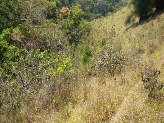 Fazenda, venda ou permuta - Foto 15