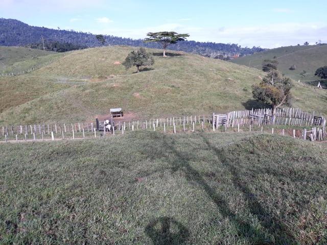 Fazenda em Camacã - Foto 3