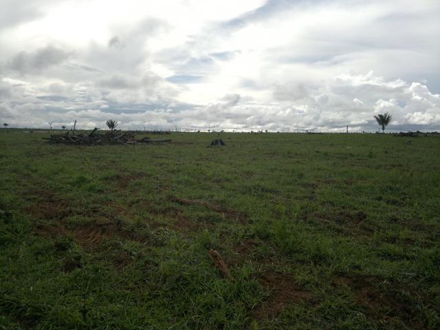 Fazenda para arrendamento de soja - Foto 4