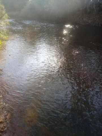 Vendo chácara jaranapolis rio padre souza - Foto 5