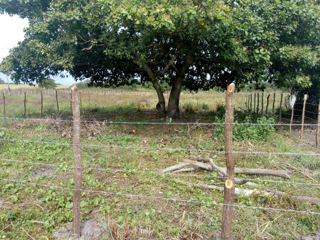 Terreno horizonte - Foto 2