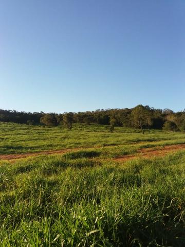 Fazenda c/ 508he c/ 330he Formados, 28km de Alto Araguaia-MT - Foto 2