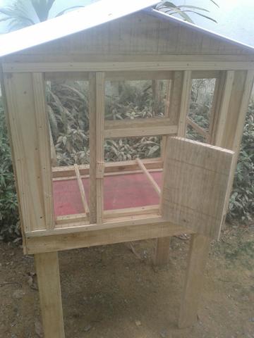Viveiro modelo casinha