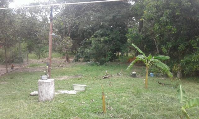 Chacara - Foto 6