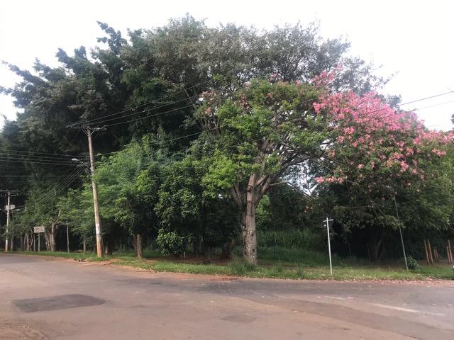 Vendo apto Anápolis - Foto 14