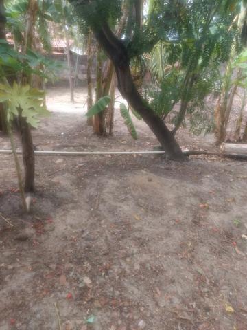 More bem,more em Iparana - Foto 14