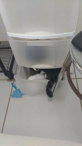 Vendo com urgência por viagem. Procure-me e negociaremos. Ajuda recíproca. Gratidão - Foto 3