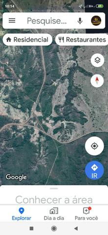 42 hectares em joão pinheiro - Foto 3