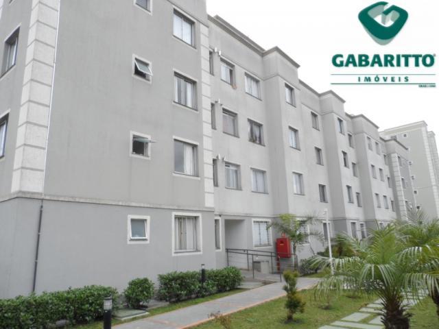 Apartamento à venda com 2 dormitórios em Pinheirinho, Curitiba cod:91116.001 - Foto 16