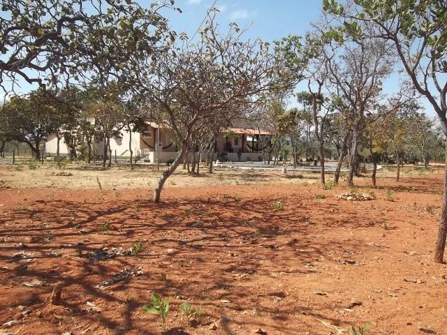 Sitio 20.000m² bem localizado, com sauna, piscina, poço de peixe artificial. - Foto 5