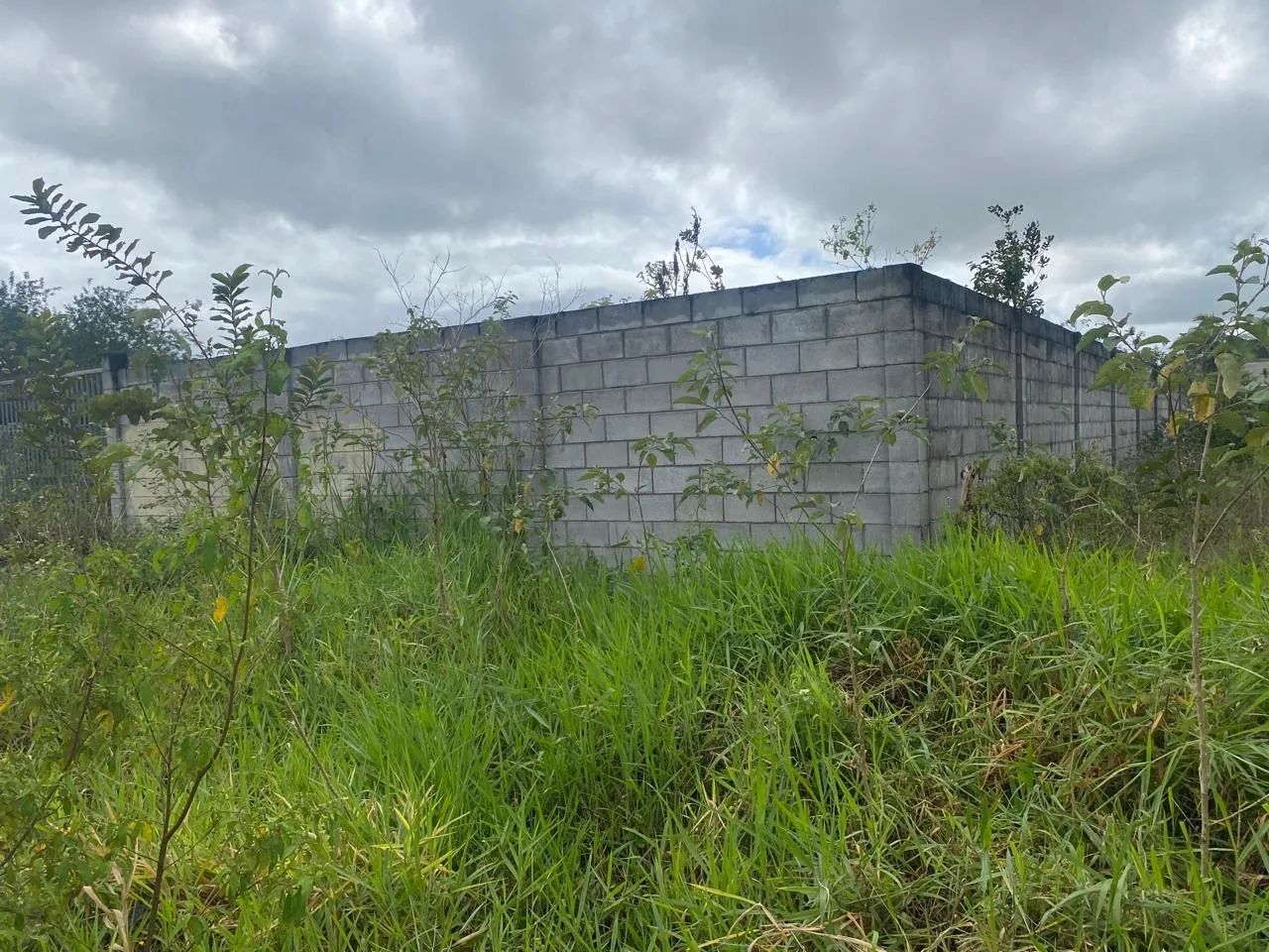 Excelente  terreno  para alugar  50 metro saindo  da Avenida  Nóide  Cerqueira  - Foto 4