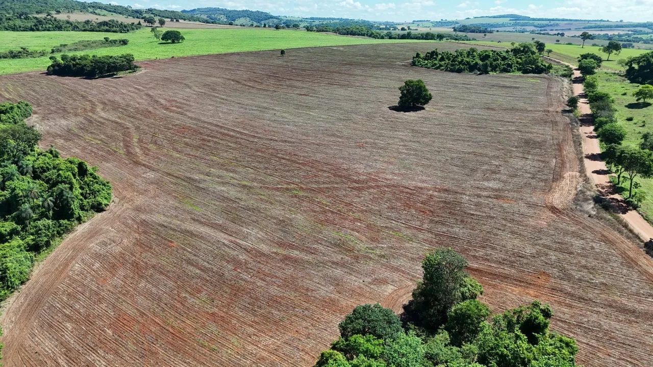 Fazenda em pontalina-go - Foto 5