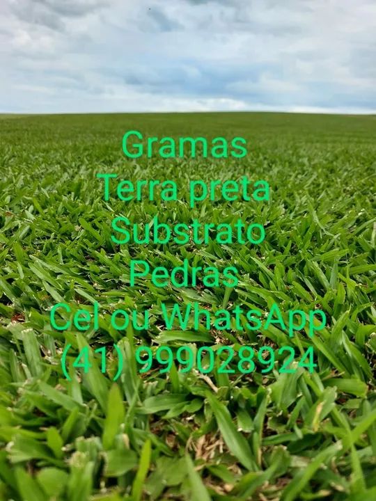 Terra preta ,gramas - Foto 6