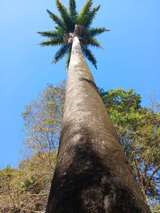 Aluga-se linda pousada dentro de Anápolis  - Foto 8
