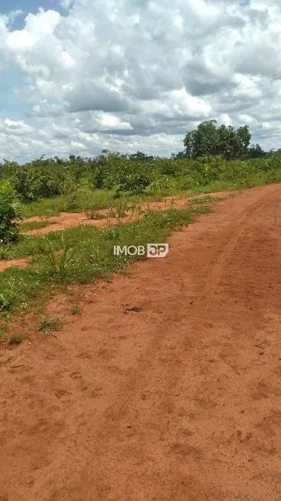 Fazenda entre Cristalândia e Lagoa da Confusão - TO - Foto 4