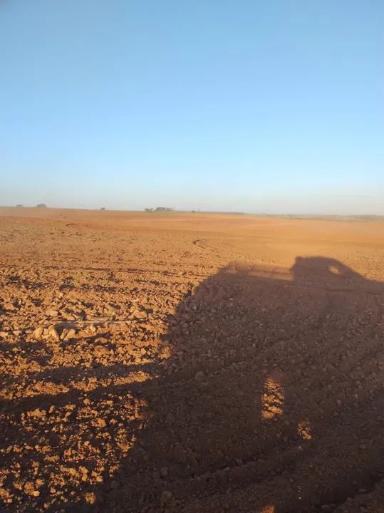 Fazenda de café no sul de minas  - Foto 2