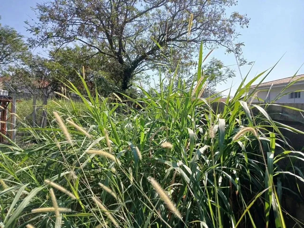 Terreno à venda em Campinas, Parque Taquaral, com 1097.6 m² - Foto 3