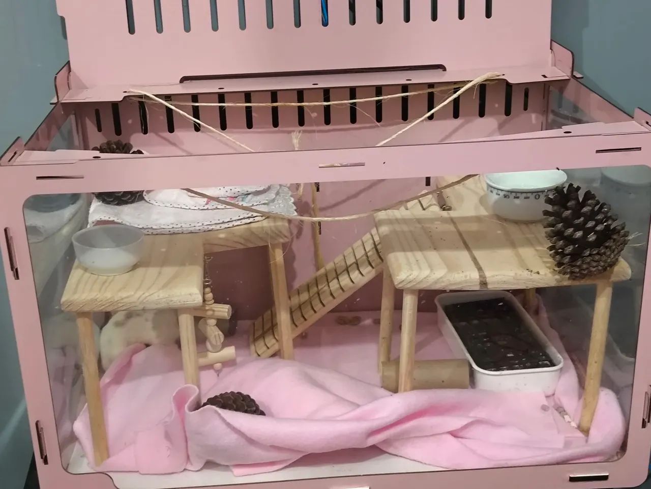 Terrário para Roedores(aceito ofertas) - Foto 2