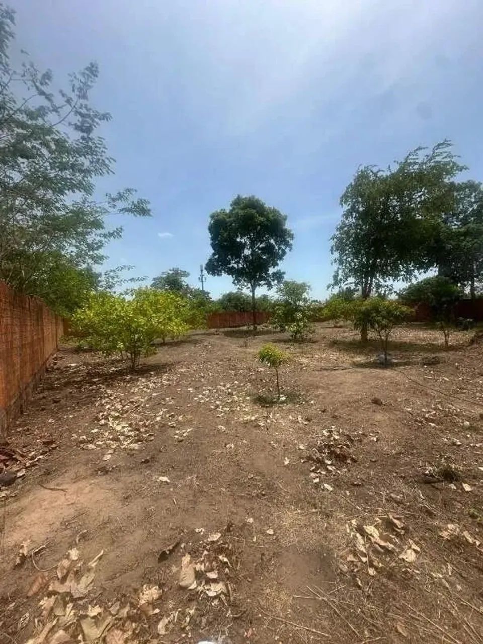 Dois lotes de terrenos de nrs. 06 e 07 - Foto 3
