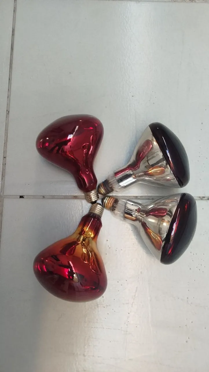 Lâmpadas de aquecimento infravermelho 250W
