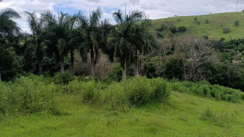 Ótimo sítio venda em São João Nepomuceno MG.  - Foto 10