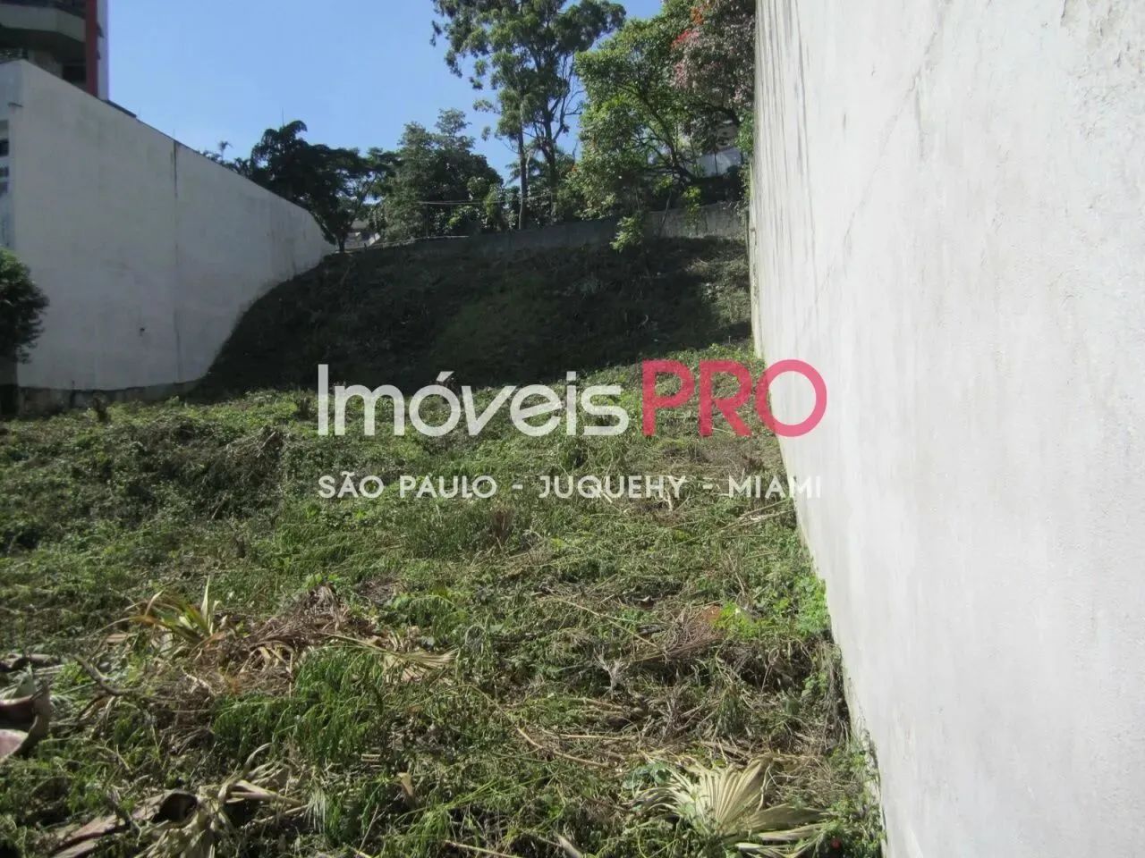 Terreno, Morumbi - São Paulo - Foto 5