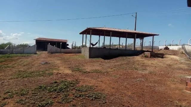Fazenda em Assú estudo permuta na grande natal mais informações whats - Foto 2