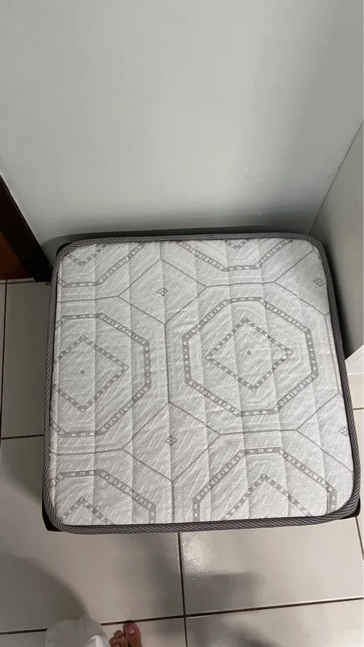 Cama Box para Cachorro