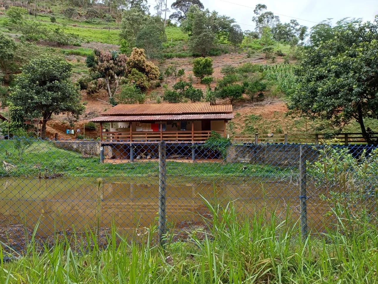 Foto - Domingos Martins - 