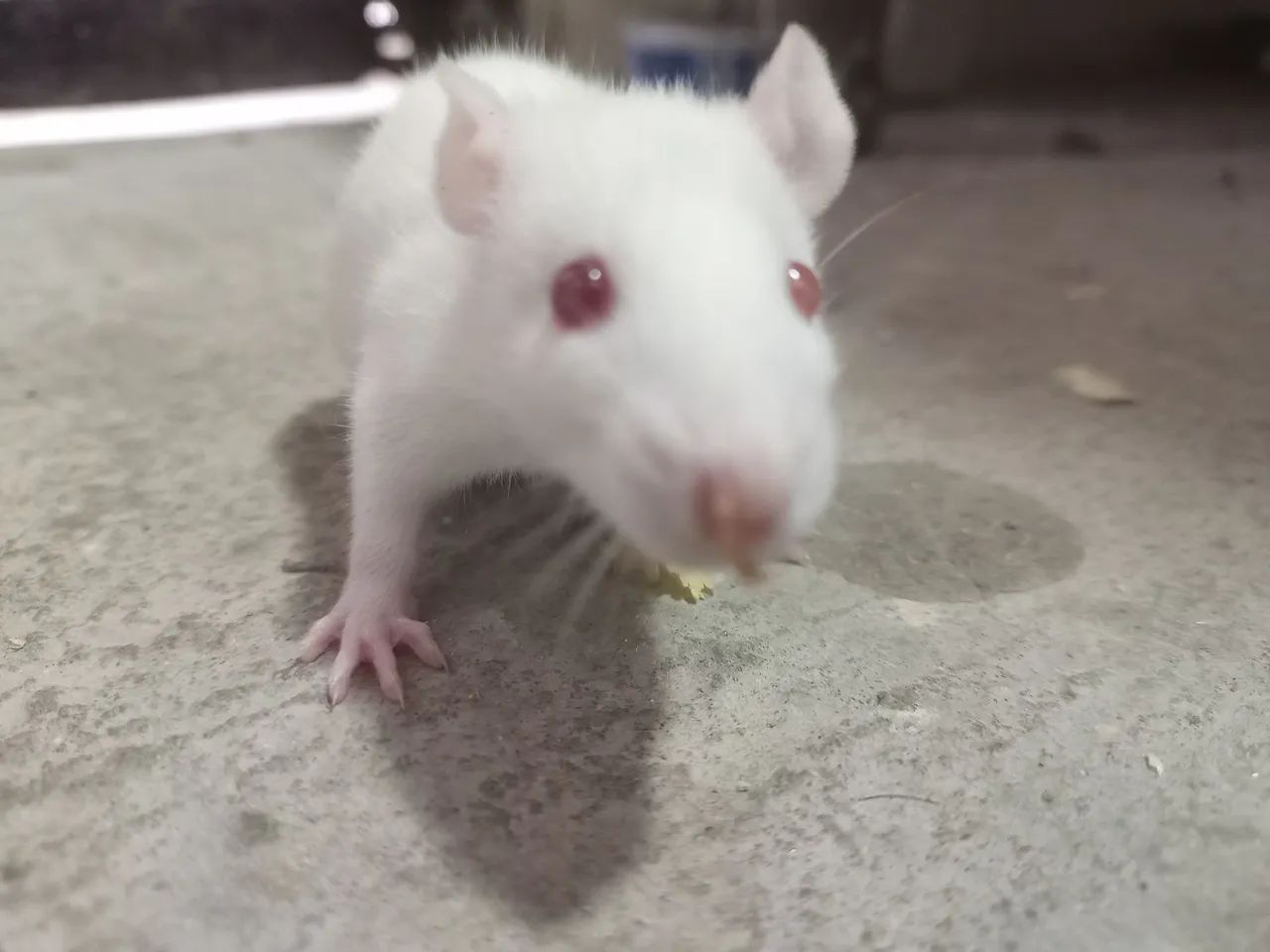 Female Twister63824580232833121