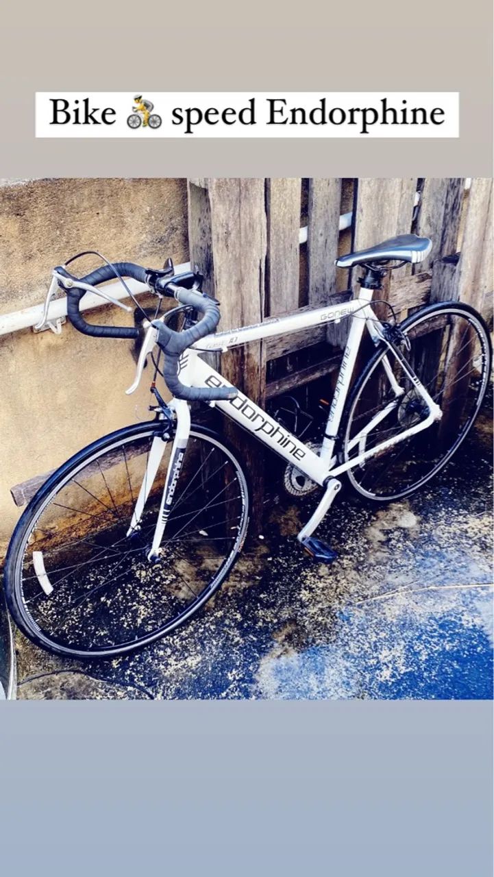 bicicleta speed endorphine