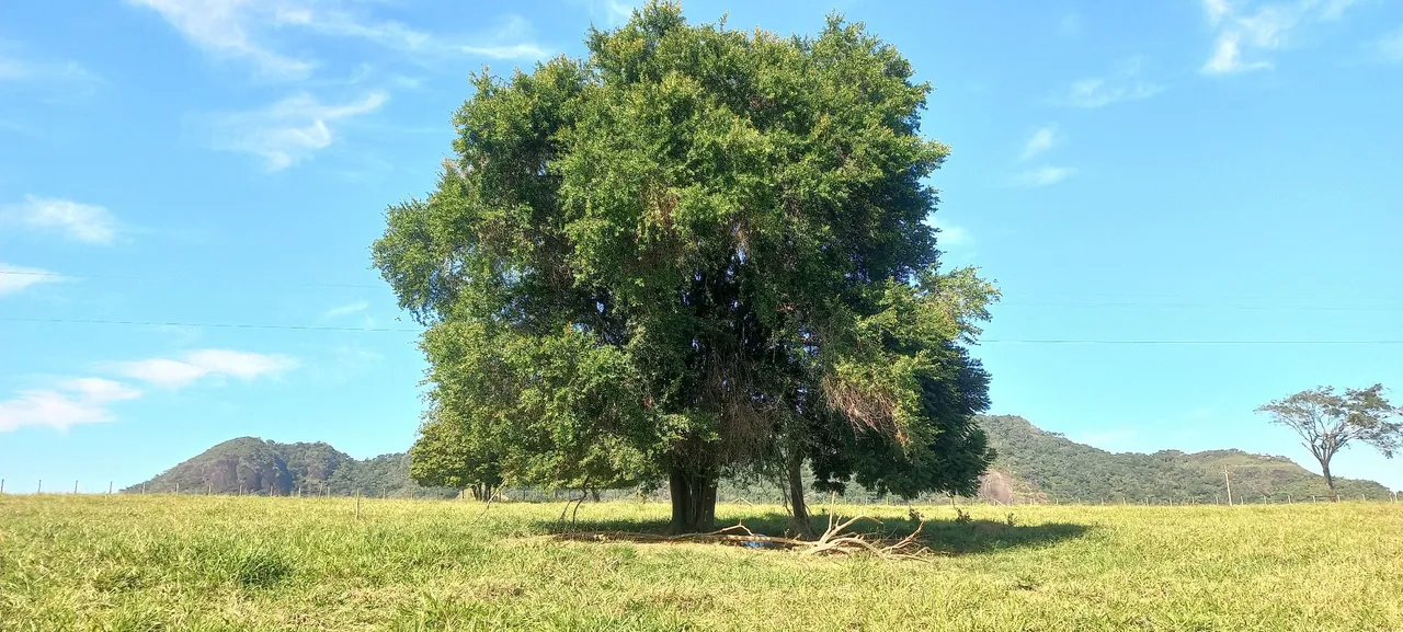 Vendo chácaras de 2mil metros em putiri na serra 85mil