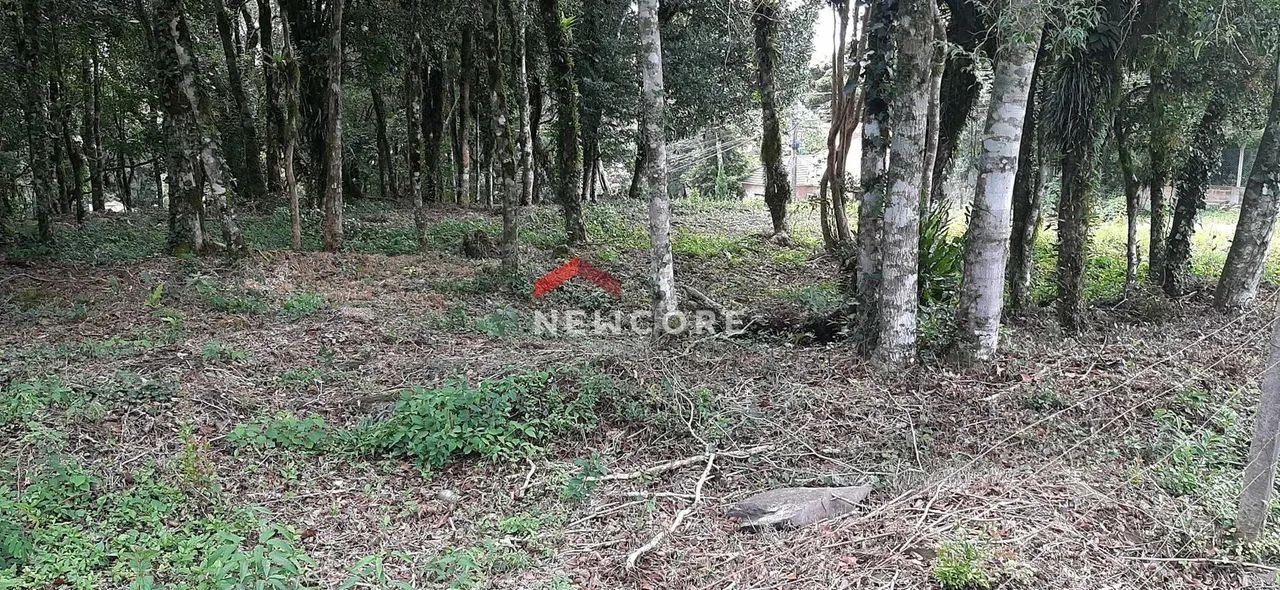 Lote em condomínio em Avenida Villagio - 2Mato Queimado - Gramado/RS - Foto 2