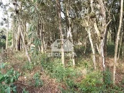 Residencial - Caucaia Do Alto - Foto 3
