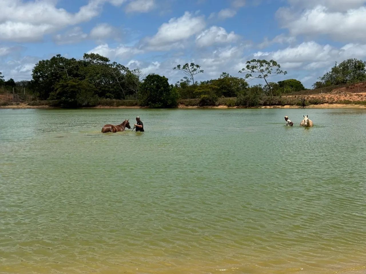 Fazenda em Estância a venda  - Foto 4