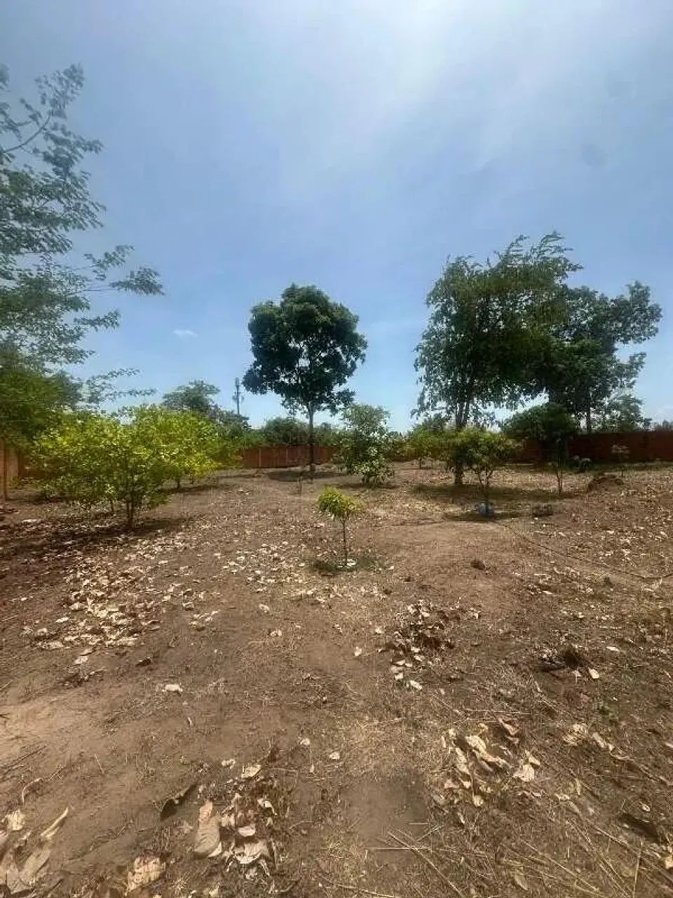 Dois lotes de terrenos de nrs. 06 e 07 - Foto 4