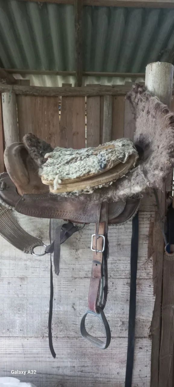 PETIÇA DE MONTARIA - Foto 4