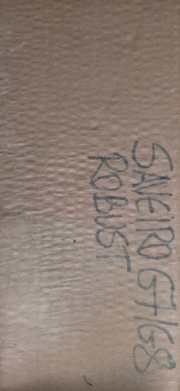 Tampa traseira Saveiro robust 22/23 original novo - Foto 2