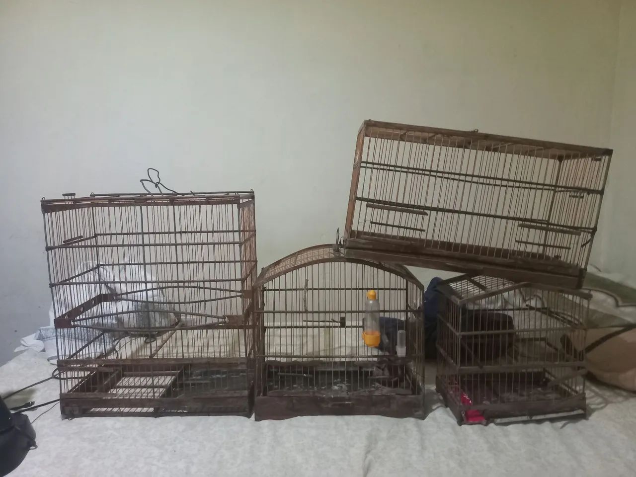 Gaiolas para passaros OLHE AS DESCRIÇÃO muito barato!