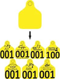 Brinco Bovino de Identificação Personalizado