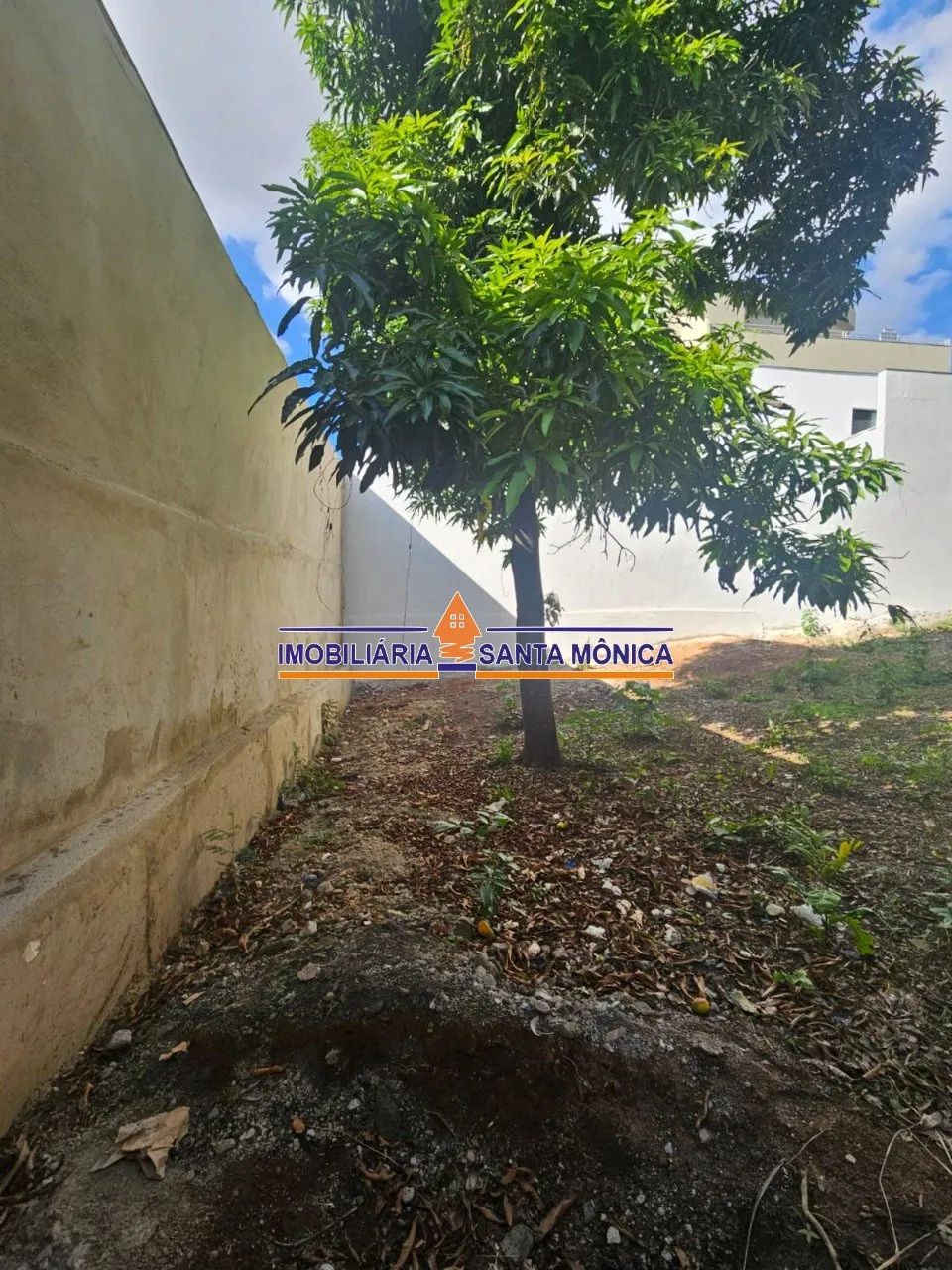 Lote 396m² - Santa Amélia - Foto 5