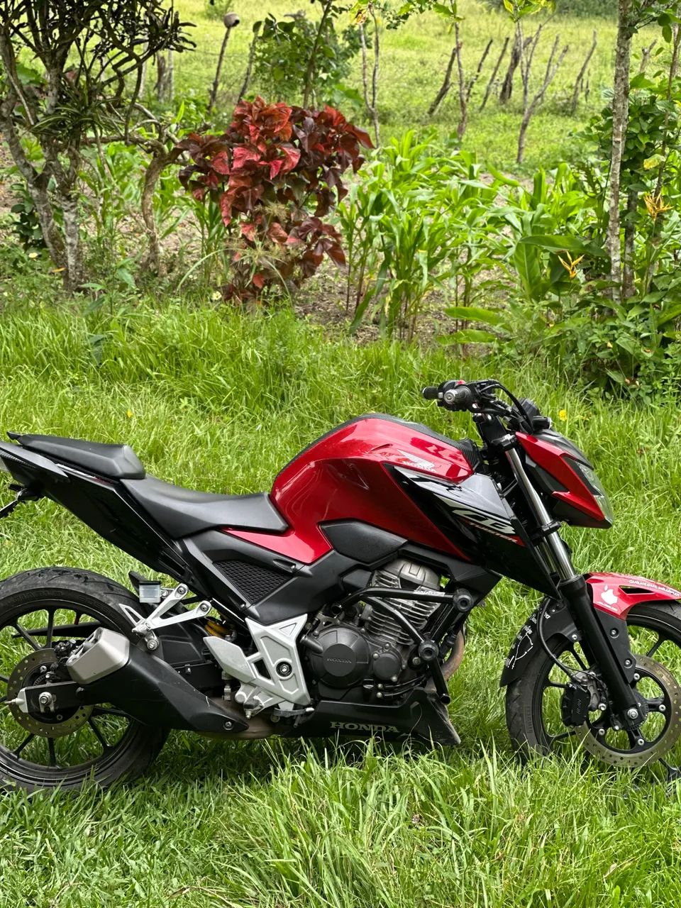 CB 300F 2025 - Foto 3