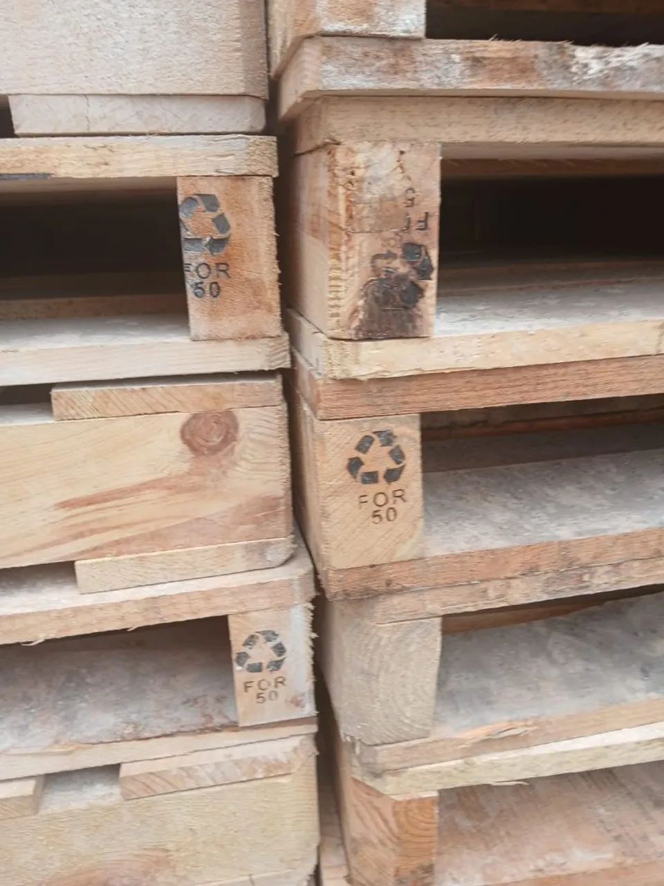 Palete exportação tratado - Foto 2