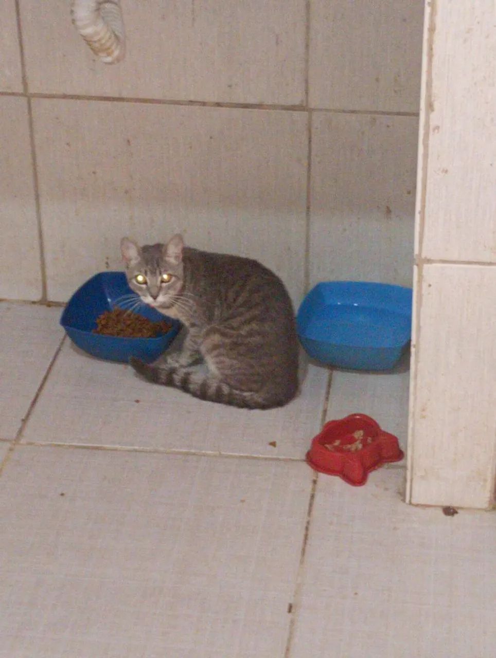 Doação - Foto 3