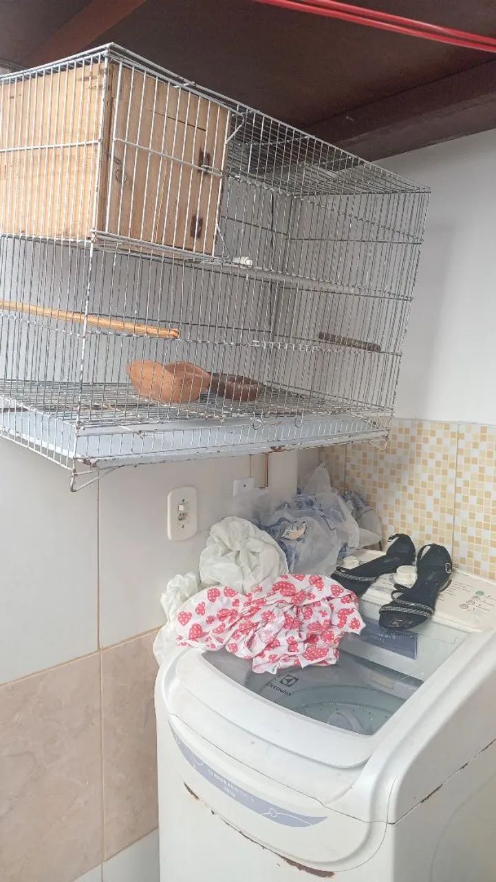 Gaiola  - Foto 2